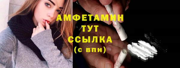 мет Алексин