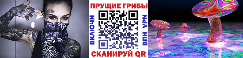 omg ССЫЛКА  Чекалин  Галлюциногенные грибы прущие грибы 